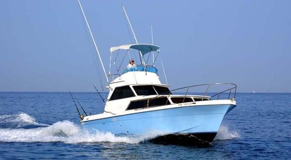 Thrill Seeker Sportfishing