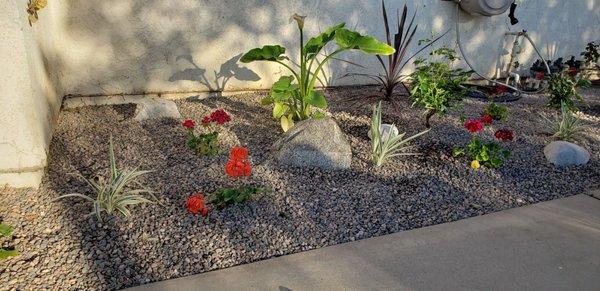 Gilberto Garden Landscape,tree Triming and Removal