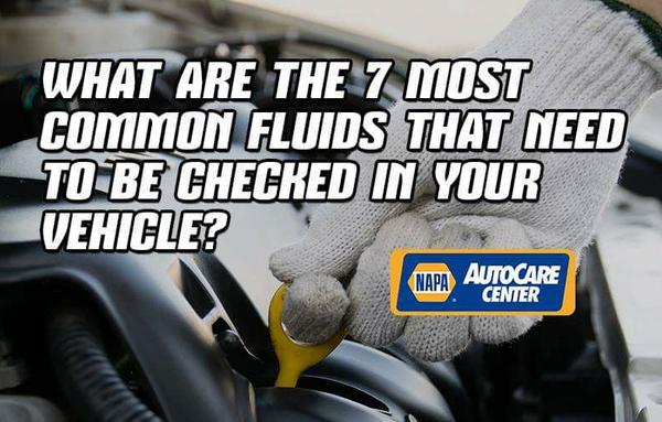 Turtles Automotive Center