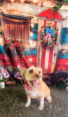 Cosmic Canines Pet Salon & Spa