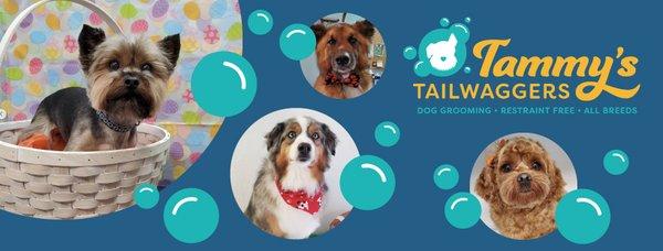 Tammy’s Tailwaggers