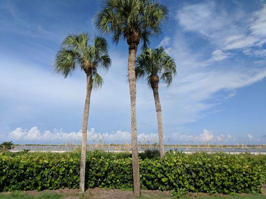 Royal Marco Point I Condo Assoc