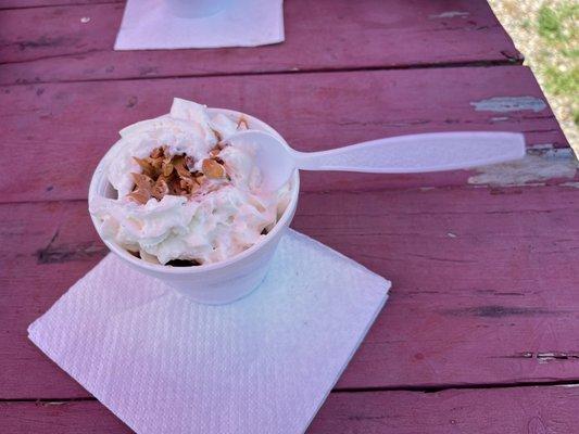 Medium ice cream sundae