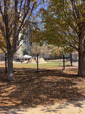 Fred Anderson Park photo