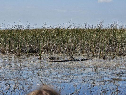 Sawgrass Recreation Park