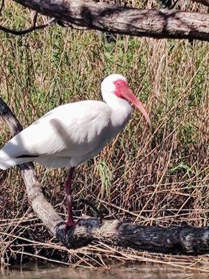 Ruth Bryan Owen Waterway Park