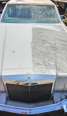 Angel's Touch Rig Wash