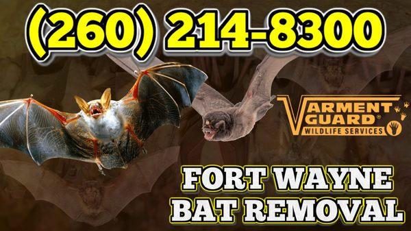 Varment Guard Wildlife Services