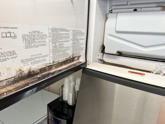 Ice machine door black mold