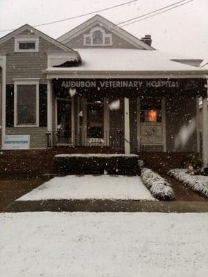 Uptown Veterinary Hospital