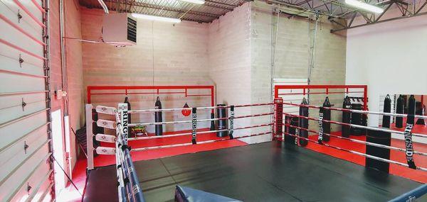 Boxing Ring