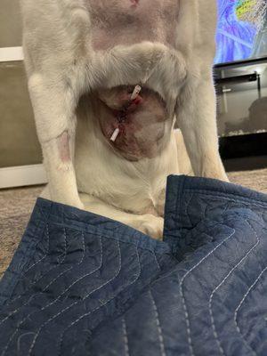 Some serious stuff this 10-year-old went through, but I was so impressed by Dr Paialsen'' process of clearing her for surgery.