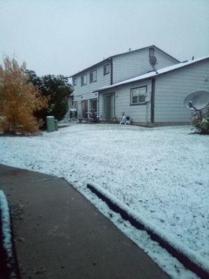 Jac Roofing & Construction