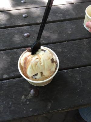 The UGA Creamery