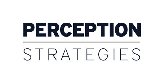 Perception Strategies