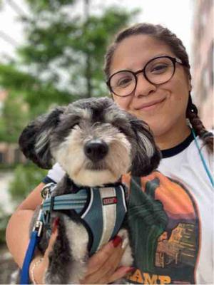 Houston Dog Walking Club