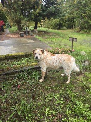 Just caught by surprise! LOL