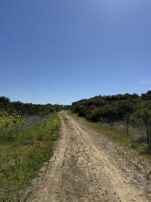 Carlsbad Oaks North Business Park Trail