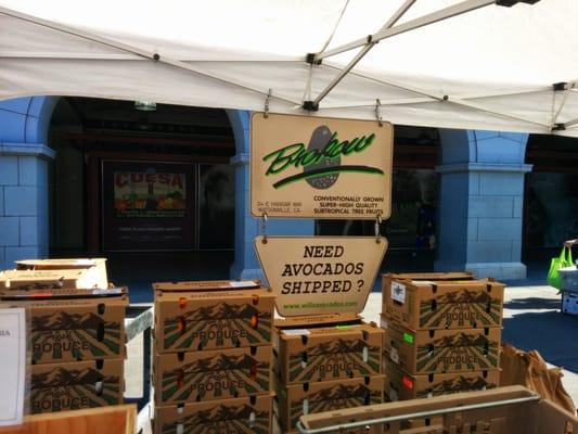 Ferry farmers' market stand, Tuesday