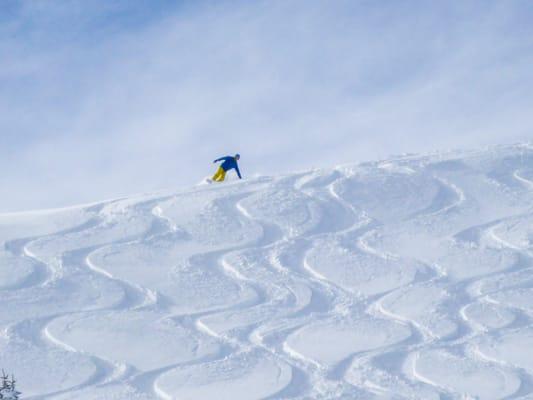 Vail Powder Guides