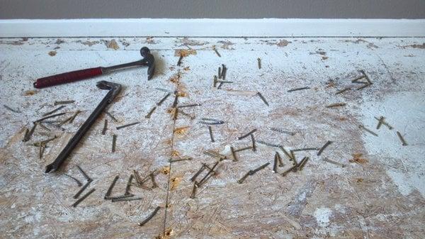 Many carpetlayer's and handyman suggest just "Screwing theories Flor Boards Tight" but this is just a old MYTH!