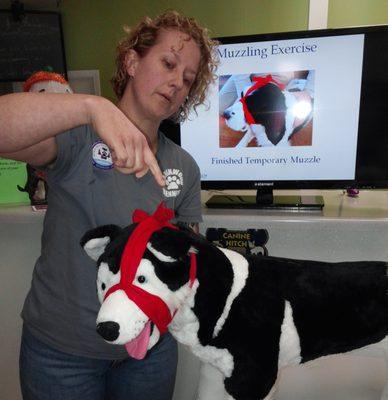 Midwest Pet CPR and First Aid