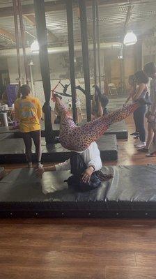 Iron City Circus Arts