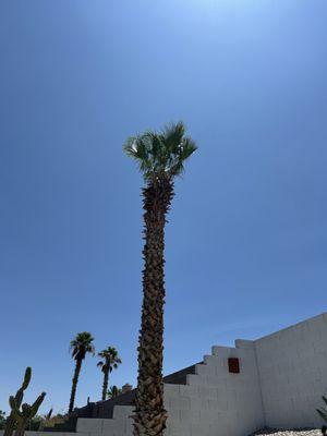 Saints Handyman & Tree Service