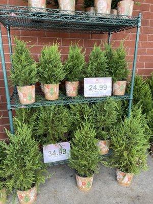 Schnuck's Markets - Ballwin