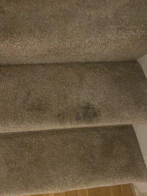 Orville's Home Appliances