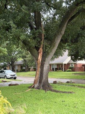 Patriot Tree Service