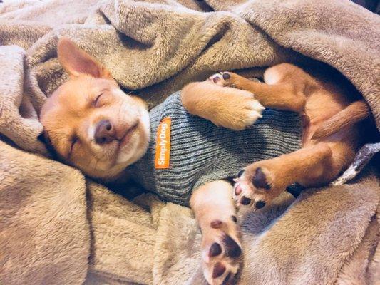 Cottage Grove Veterinary Clinic