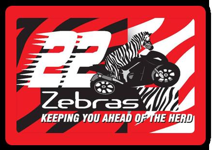 22 Zebras Computer Repair