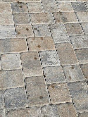 Oil stains all over the 350 foot driveway!