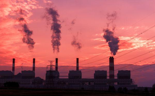 Robinson Environmental Consulting