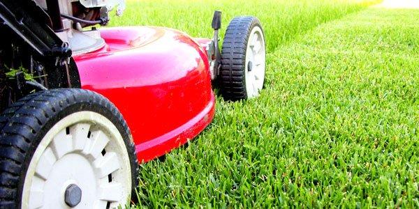 Disabled Veteran Lawncare