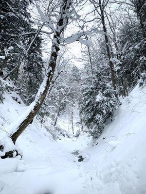 Ravine, near to falls, along frozen creek.