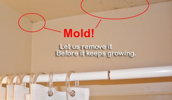 Davie FL Mold Removal