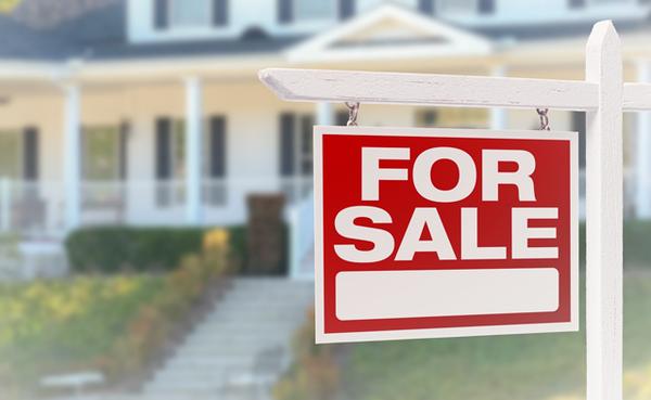 Jackie English Realtor