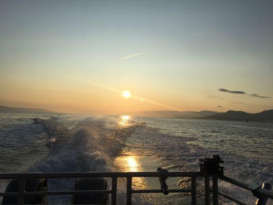 Dakota Ocean Charters