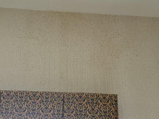 Weird stuff dripping off the walls in the rooms