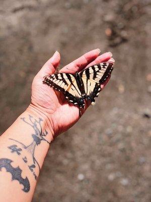 A Thrive Life Coaching