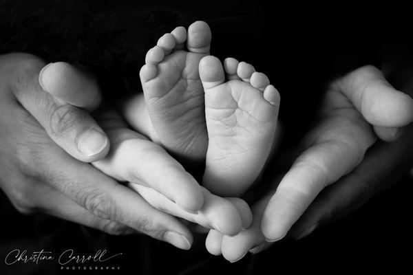 Photography by Christina Carroll