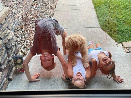 Rhonda Vanderlinden Keller Williams