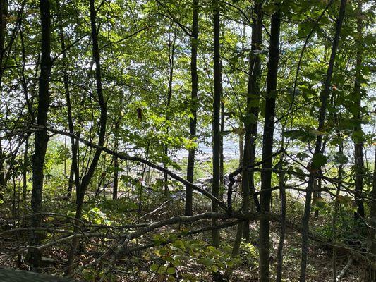 East Shore Lodging