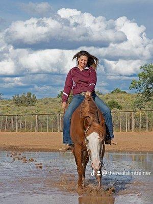 Forever West Performance Horses