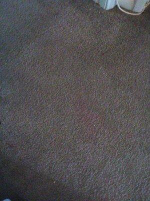 Miller's Carpet Care