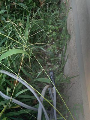 Mitchell Construction & Design