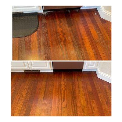 Willamette Hardwood Floors