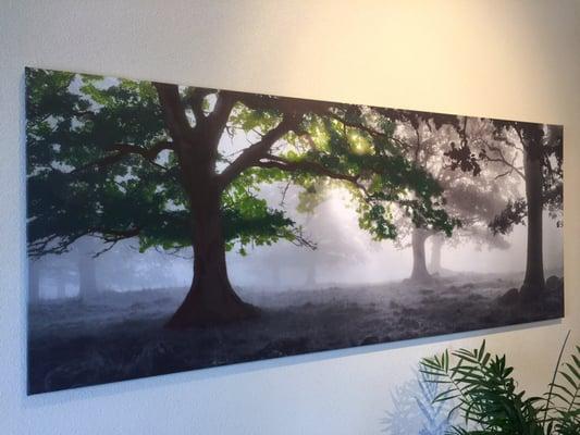 Check out their painting they got here! "Sun Rays"